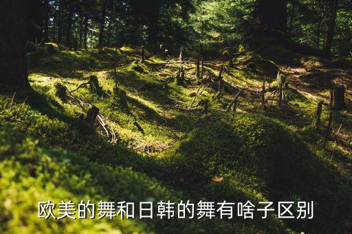 欧美的舞和日韩的舞有啥子区别