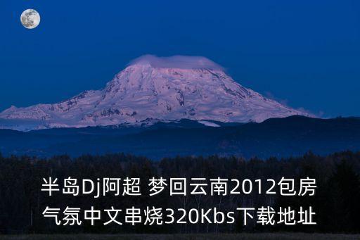 半岛Dj阿超 梦回云南2012包房气氛中文串烧320Kbs下载地址