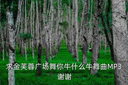 求金芙蓉广场舞你牛什么牛舞曲MP3 谢谢