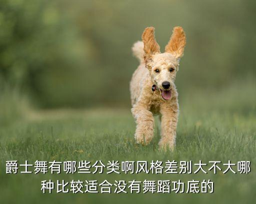 爵士舞有哪些分类啊风格差别大不大哪种比较适合没有舞蹈功底的