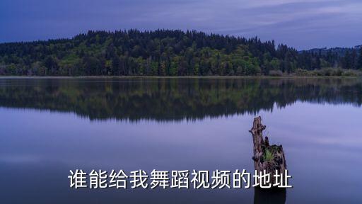 谁能给我舞蹈视频的地址