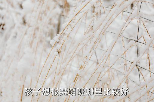孩子想报舞蹈班哪里比较好