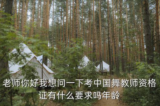 老师你好我想问一下考中国舞教师资格证有什么要求吗年龄