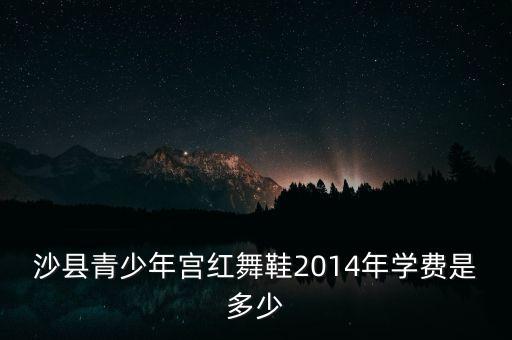 沙县青少年宫红舞鞋2014年学费是多少