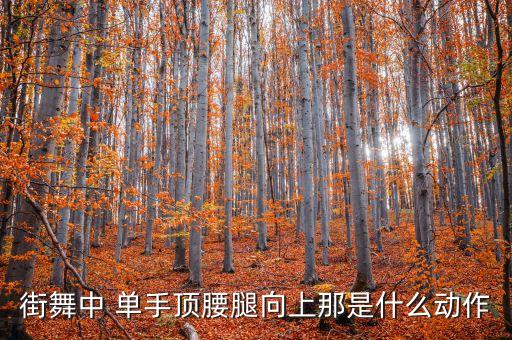 街舞单手那个叫什么动作，街舞中 单手顶腰腿向上那是什么动作