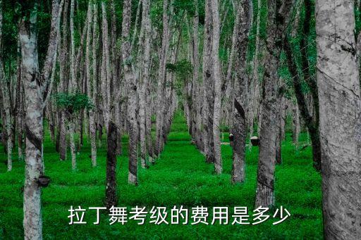 拉丁舞考级的费用是多少