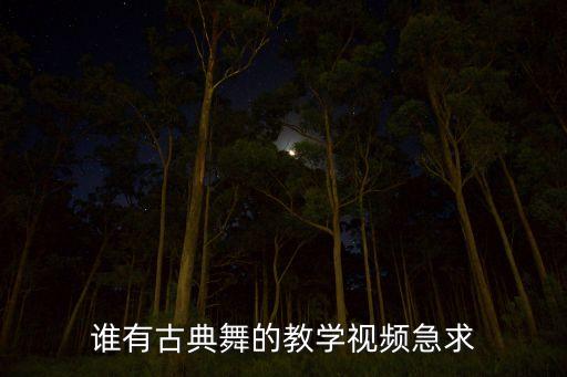 谁有古典舞的教学视频急求