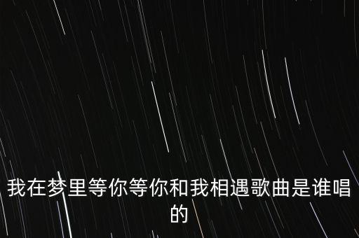 我在梦里等你等你和我相遇歌曲是谁唱的