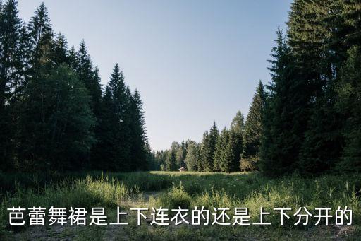 芭蕾舞的纱裙怎么系，芭蕾舞裙是上下连衣的还是上下分开的