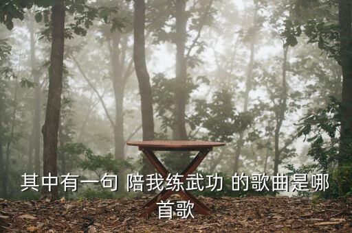 其中有一句 陪我练武功 的歌曲是哪首歌