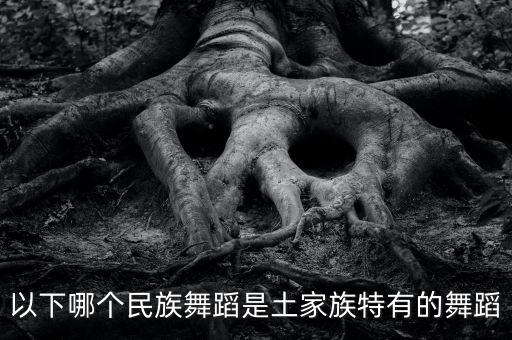 以下哪个民族舞蹈是土家族特有的舞蹈