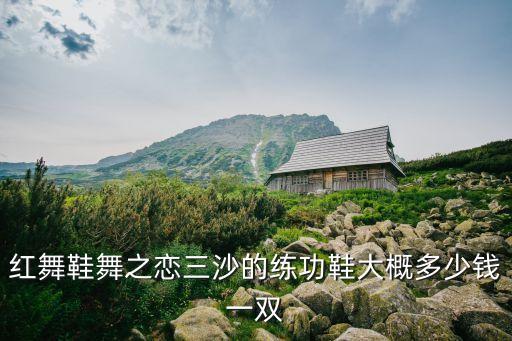 红舞鞋大概学多少钱，沙县青少年宫红舞鞋2014年学费是多少