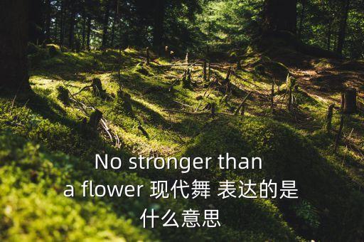 No stronger than a flower 现代舞 表达的是什么意思