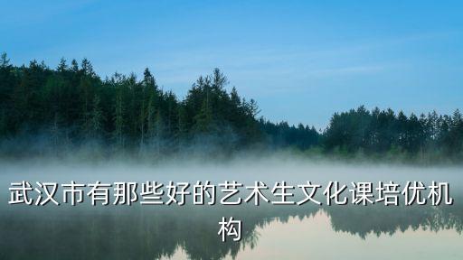 武汉艺考音乐培训机构前十名排名，武汉最好的艺考培训学校
