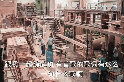 跟我一起练武功 有首歌的歌词有这么一句什么歌啊