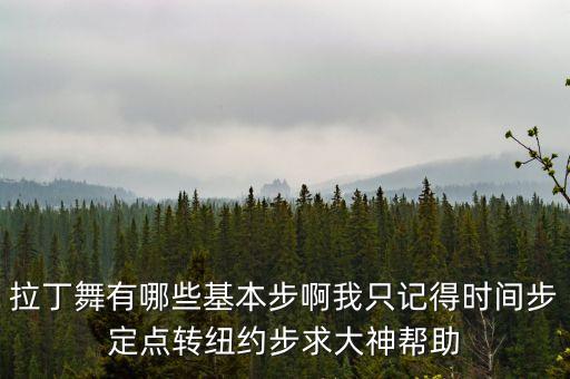 拉丁舞有哪些基本步啊我只记得时间步定点转纽约步求大神帮助
