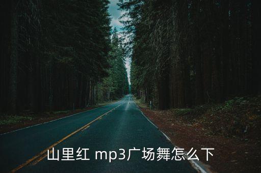 山里红 mp3广场舞怎么下