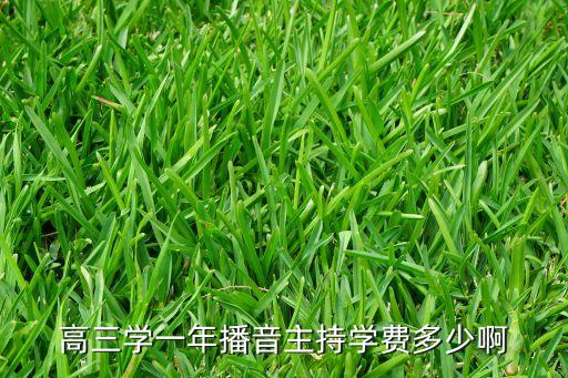 高三学播音主持多少钱，我马上高三学播音要多少钱左右 二本线要多少