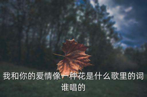 爱像一朵花是什么歌，飒漫画的乐绘馆里爱是一朵花而你是唯一的花朵 这首歌的哥名是什么
