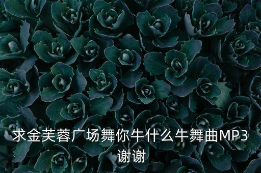 求金芙蓉广场舞你牛什么牛舞曲MP3 谢谢