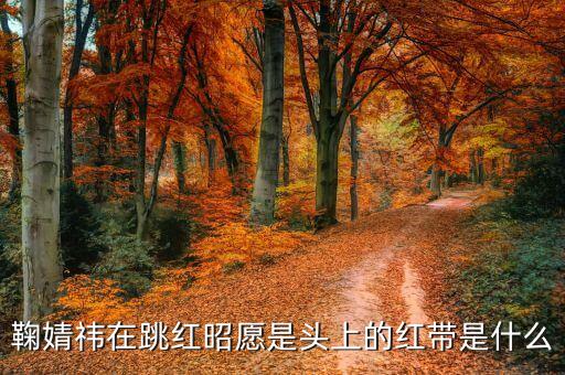 红昭愿鞠婧祎舞蹈教学，鞠婧祎在跳红昭愿是头上的红带是什么