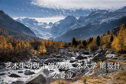 艺术生可以上的公办二本大学 能报什么专业