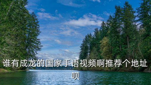国家手势舞，怎样才能快速学会国家这个手语舞