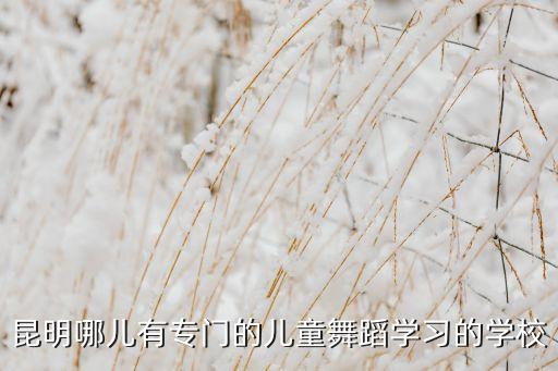 昆明哪儿有专门的儿童舞蹈学习的学校