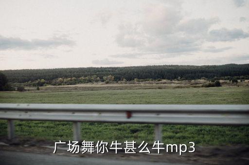 舞蹈 你牛什么牛，广场舞你牛甚么牛mp3