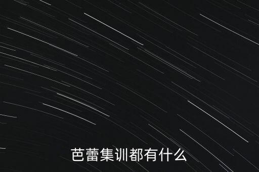 芭蕾集训都有什么