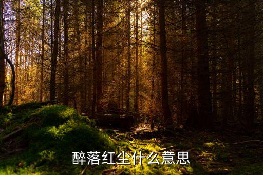 醉落红尘什么意思