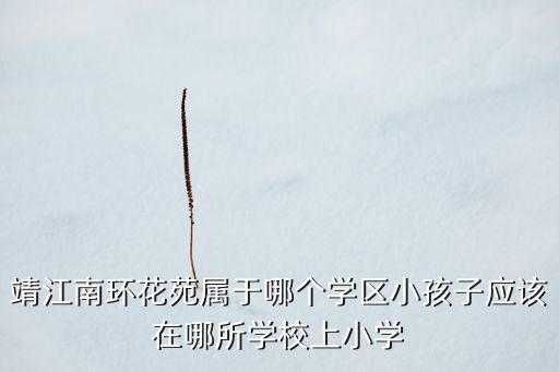 靖江南环花苑属于哪个学区小孩子应该在哪所学校上小学
