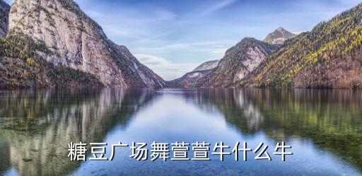 你牛什么牛的舞蹈视频，广场舞你牛甚么牛mp3