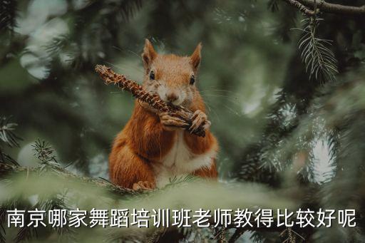 南京哪家舞蹈培训班老师教得比较好呢