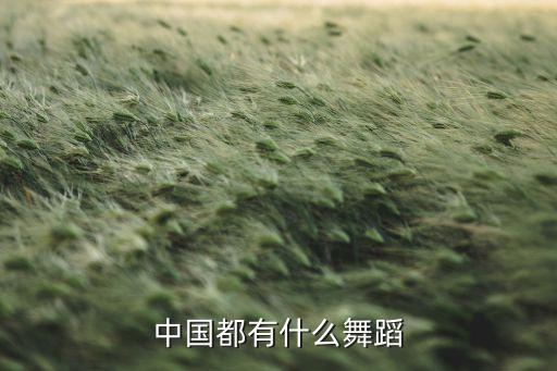 中国舞有多少舞种，中国有多少种舞蹈