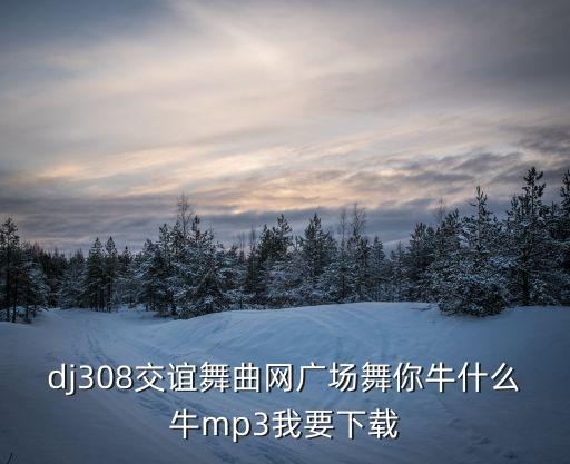 dj308交谊舞曲网广场舞你牛什么牛mp3我要下载