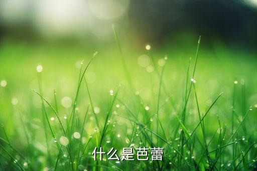 什么是芭蕾