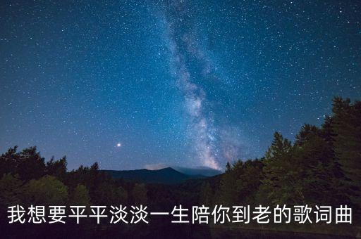 我想要平平淡淡一生陪你到老的歌词曲