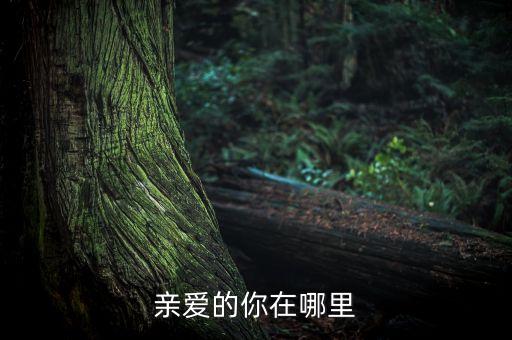 糖豆广场舞亲爱的你在哪里，亲爱的你在哪里