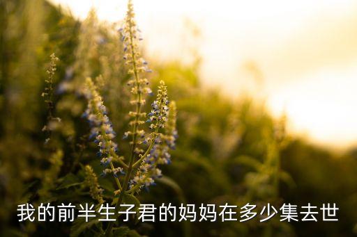我的前半生子君的妈妈在多少集去世