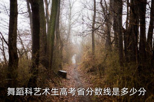 舞蹈科艺术生高考省分数线是多少分
