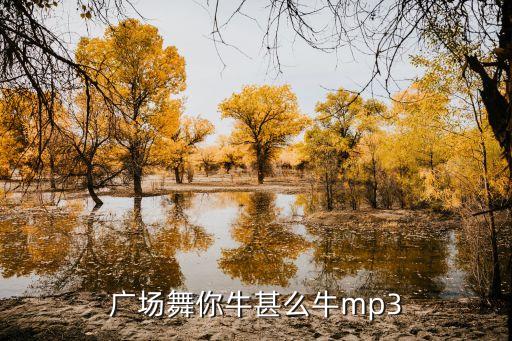 单人水兵舞你牛什么牛mp3，你牛什么牛mp3