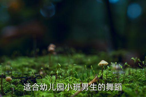 小男生舞蹈，适合幼儿园小班男生的舞蹈