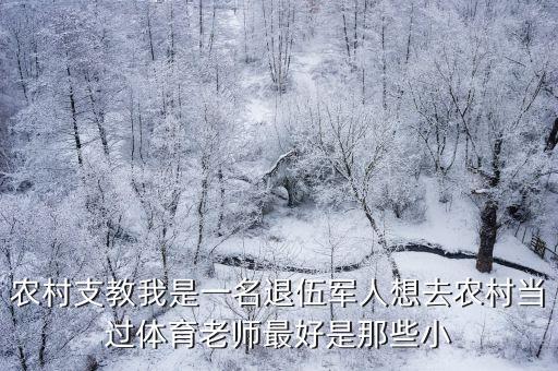 农村支教我是一名退伍军人想去农村当过体育老师最好是那些小