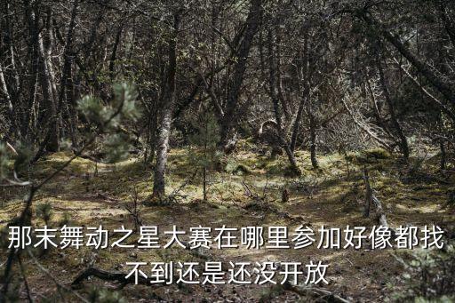 那末舞动之星大赛在哪里参加好像都找不到还是还没开放