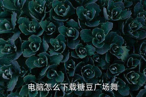 电脑怎么下载糖豆广场舞