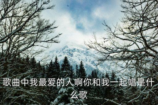歌曲中我最爱的人啊你和我一起唱是什么歌
