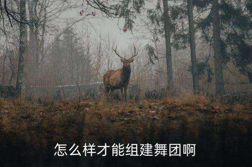 怎么样才能组建舞团啊