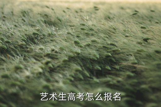 艺术生高考怎么报名