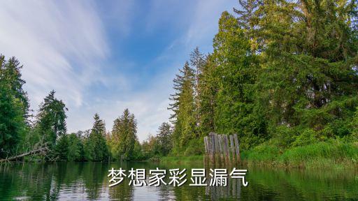 梦想家彩显漏气